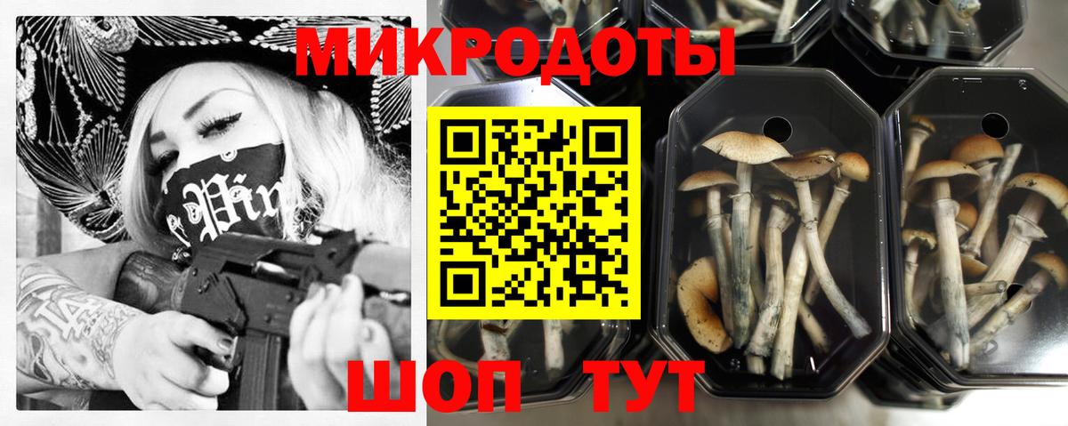 Псилоцибиновые грибы мицелий Кулебаки