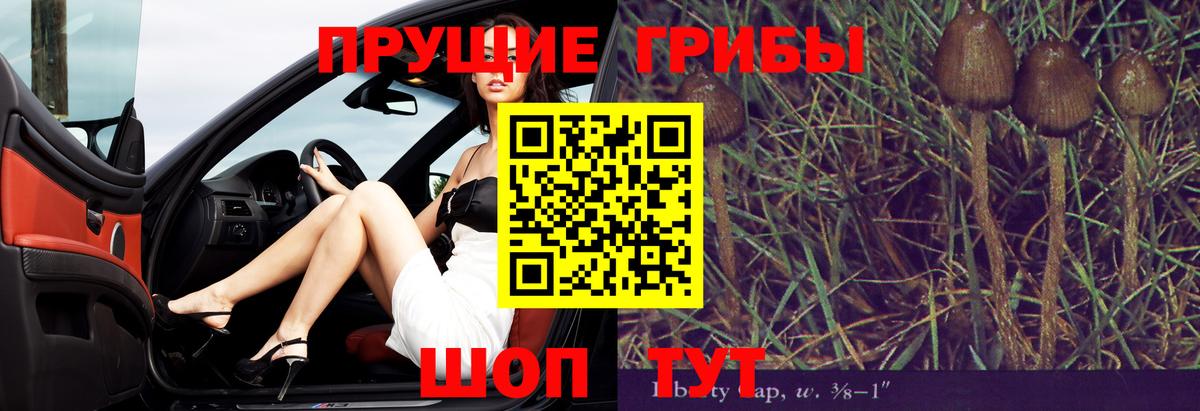 Кулебаки  Псилоцибиновые грибы ЛСД  Вход с VPN  Псилоцибиновые грибы ЛСД 